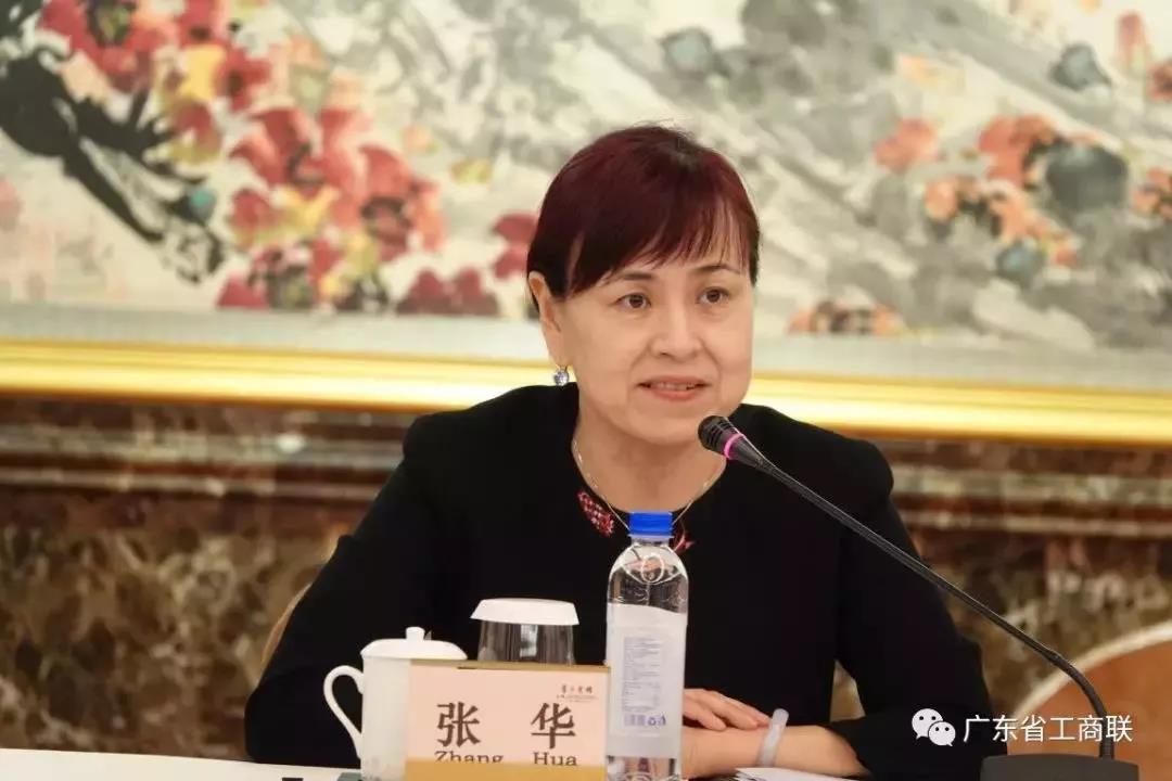深圳市走出去战略合作联盟